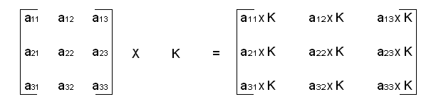 MatrixScale.gif